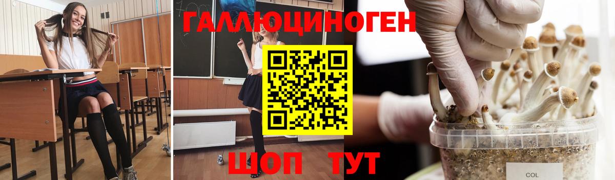 Ирбит  Галлюциногенные грибы мухоморы  Вход с VPN 